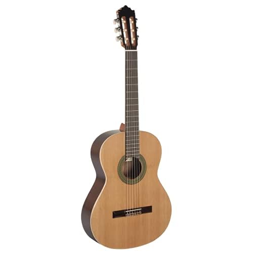 Paco Castillo 201 acabado brillante - Guitarra clásica