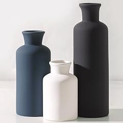 007-multicolor Modern