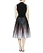 S.L. Fashions Women's Formal Elegant Party Dress, BlackandSilver, 16