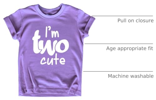 Image of 2nd Birthday Outfits for Toddler Girls im Two Cute Shirt Girl 2 Years Old Second Birthday