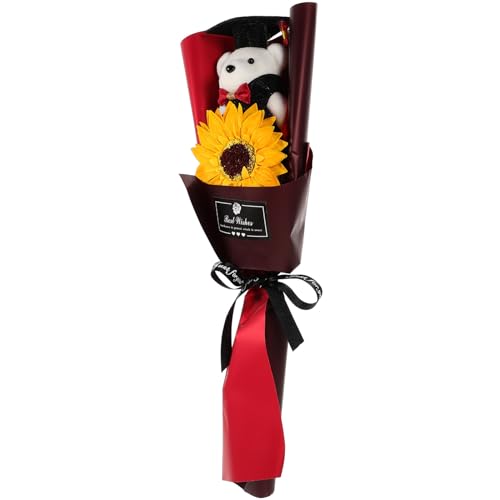 VORCOOL ƎN}̉ԑ lHԑ ԐF ƃp[eB[ 蕨 ʐ^Be 蕨