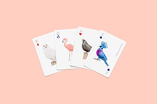 Birds: Playing Cards