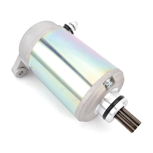 Piezas de repuesto: motor de arranque para motocicleta Guepard 650 y UTV 800 3