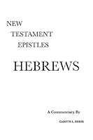 New Testament Epistles:  A Critical and Exegetical Commentary on the Epistle to the Hebrews 0971765219 Book Cover