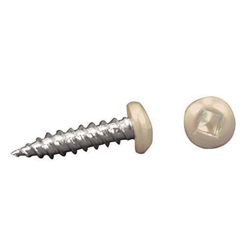 AP Products 012-PSQ50 CO 8 X 1 Colonial White Pan Head Square Recess Screw - Pack of 50