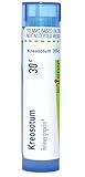 BOIRON USA - Kreosotum 30c [Health and Beauty]