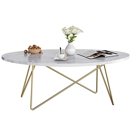 Cagnolier Couchtisch Oval 120x60cm - Gehärtetes Glas Mit Holzrahmen & Metallgestell