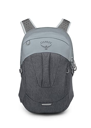 Osprey Comet 30 Laptop Backpack, Silver Lining/Tunnel Vision #TOP2