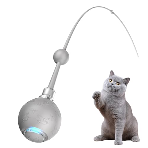 Balle interactive pour chat rechargeable avec jeu de chasse automatique 3 modes - 2