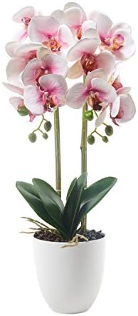 ENCOFT Alicemall Butterfly Orchid Artificial Flower 12 Heads Pink in White Simulation Phalaenopsis Bonsai with Ceramic Vase Wedding Party Home Centerpiece Decor (Pink White)
