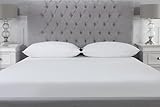 Littens Duck Feather & Down Pillow Pair, 230TC Cotton, Down Proof, Piped Edge 48cm x 74cm (19" x 29") Essentials