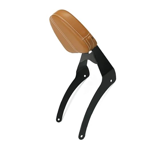 Support de dossier amovible pour moto Scout ABS en acier robuste noir