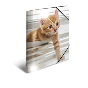 HERMA Sammelmappe A4 Katzen, Kinder Eckspanner-Mappe aus Kunststoff mit Tier Motiv, Hochglanz-Optik, Gummizug, Innenklappen und Innendruck für Jungen und Mädchen