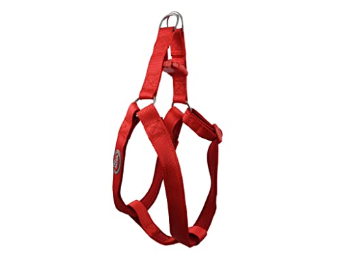 Pet Nova Adjustable nylon suspenders with neoprene lining NEOPRENE COMFORT size XL - 2,5cm (47-68cm), red, HA-NEO-RED-XL - Image 2