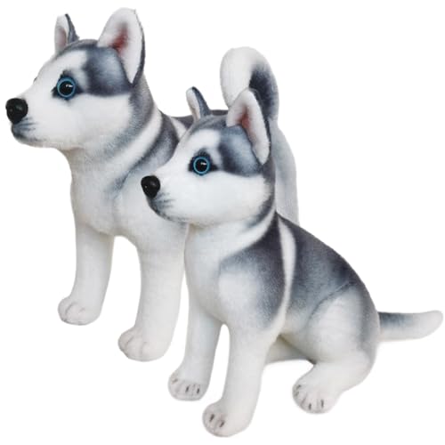 Consejos para Comprar Cachorro husky los más recomendados. 22