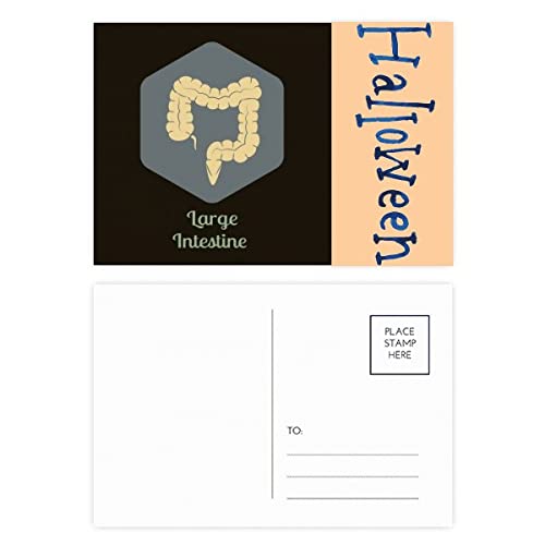 Cartes postales d'Halloween Body Large Intestine idée cadeau pour collectionneur