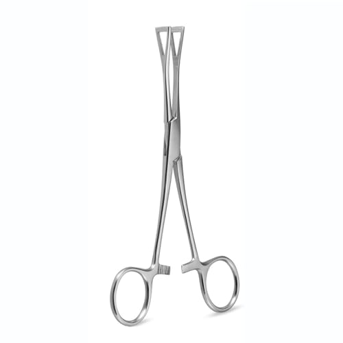 Op`sAXNvA XLsAX T[WJXeX    ւ bv {fBsAX vC[