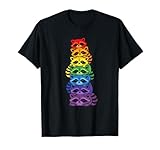 Schwuler Queer Pride Month Waschbärenstapel in Regenbogenfarben T-Shirt