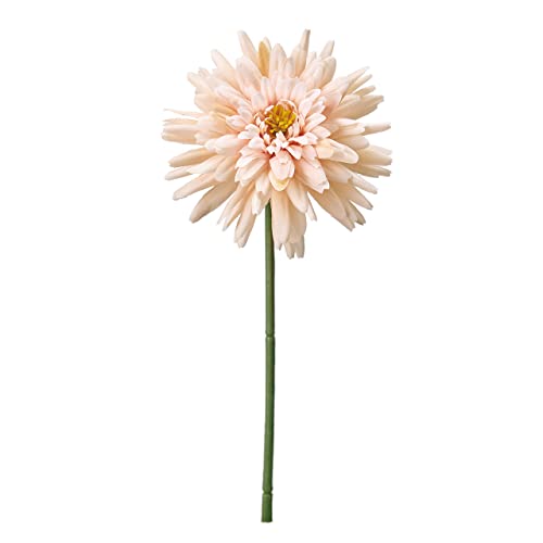   MAGIQ Ak}sbN N[ Ԍa8×L19cm 1{ FM001655-037