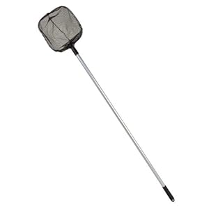 Groene Jan vijver-schepnet met aluminium handvat