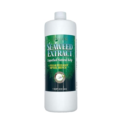 Grow More Liquified Seaweed Extract Fertilizer for Plants - 1 Quart of Natural Liquid Kelp Fertilizer - 11% Organic Kelp Plant Food for Transplant Protection & Root Development