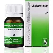 shop homeo Dr Reckeweg Cholesterinum 3X (20G) (B0CCRL8XJ7) Amazon Price History, Amazon Price Tracker