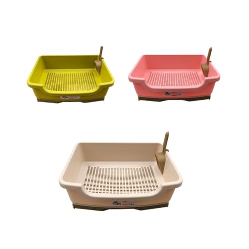 pisipe LgC  o^Cv LX TbƑ| VXegC wLgC Lpi LgCʊB (sN)