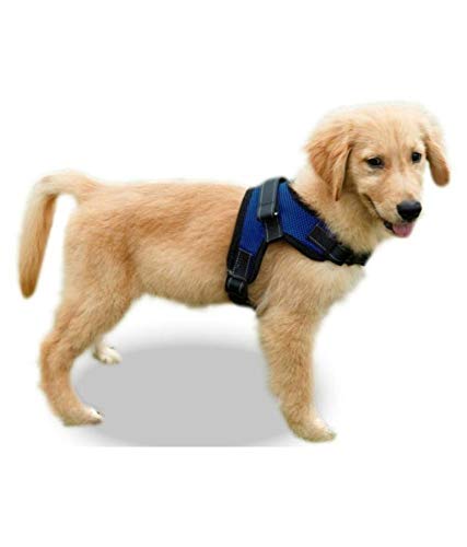 See full amazon price history chart for Dog Body Harness with Nylon Lease Size : Small - Heavy Duty, Strong Durable & Waterproof-Good for Small Breed Pug & Pom Dog Body Harness with Nylon Lease Size : Small - Heavy Duty, Strong Durable & Waterproof-Good for Small Breed Pug & Pom (B08124LH6M) Amazon Price History, Amazon Price Tracker