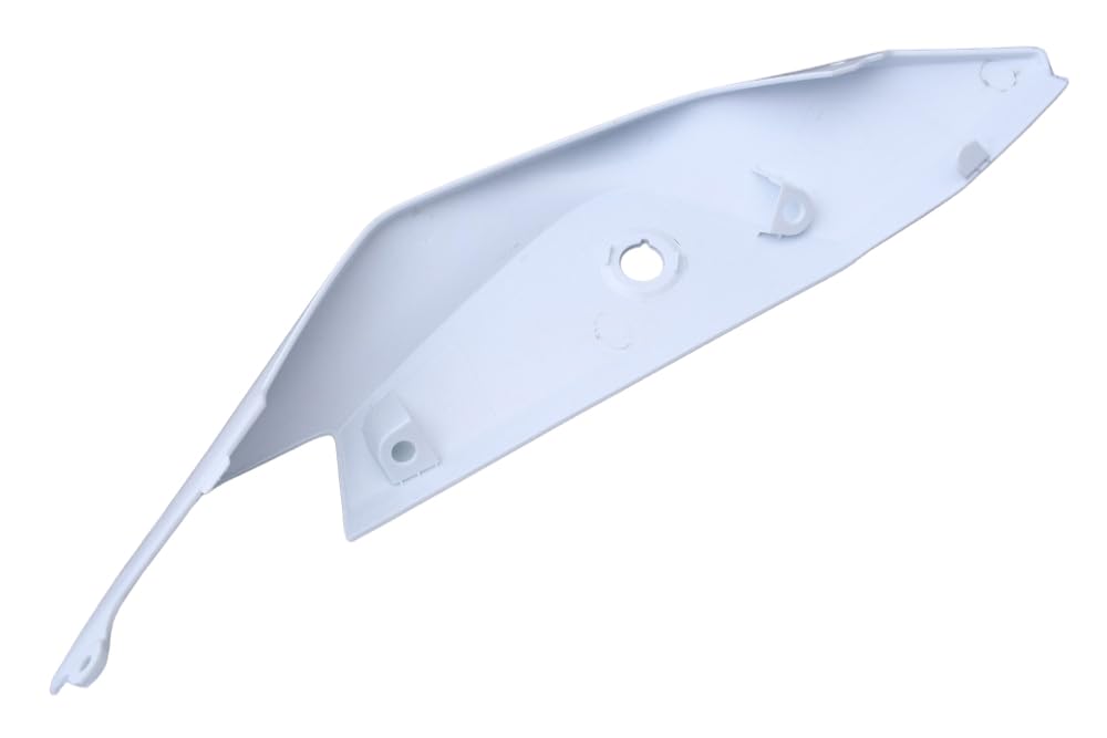 avdb-moto Heckverkleidung | Heck Verkleidung kompatibel mit KAWASAKI ZX10RR, ZX-10R ZXT02L 2021-2024 (Roh Linke)