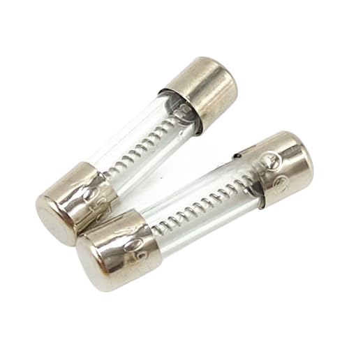 Fusible en verre à rupture lente 5x20mm 20A 250V pour réparation et maintenance