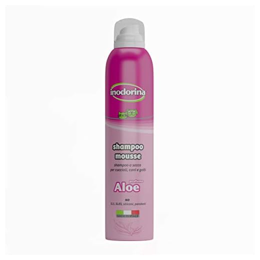 INODORINA - Champú Espuma de Lavado en Seco Aloe Vera de 300ml