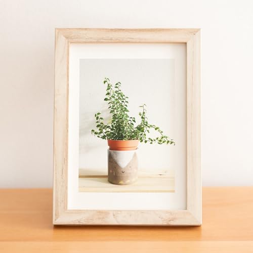 [LSDZW] tHgt[  22.5*27.5 ؐ tHg t[ z a4 t[ A[gt[ ؐ uE zCg 1 Ebht[ ʐ^  Ǌ| j oYj Vzj EFJ{[h v[