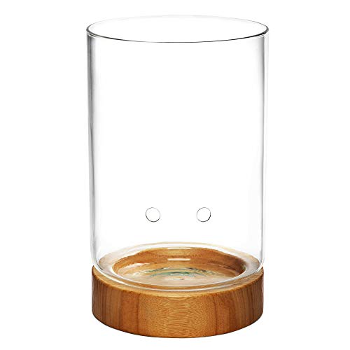 Pot & Pebble Glass Indoor Planter With Wooden Base & Water Level Control: Transparent For Root Visibility (Suitable For Semi-Hydroponic Or General Use) Easier Plant Care, Less Watering & More Growth! #TOP20