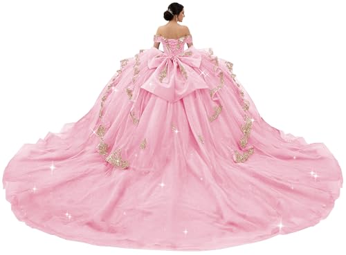 XYAYE Puffy Off Shoulder Quince Dresses Princess XV Dress Pink Size 20