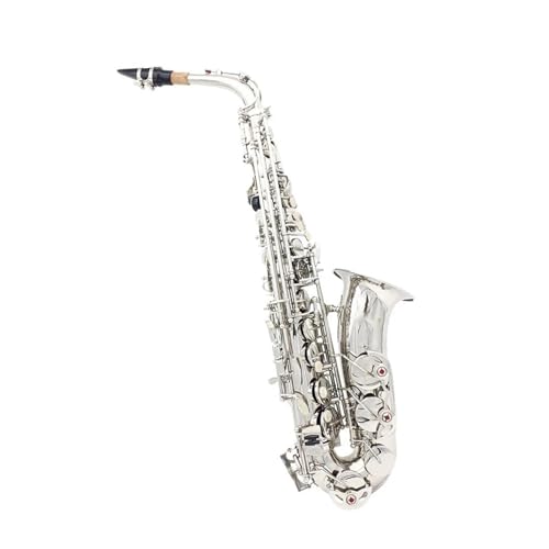 TN\tHy vtFbVi l Eb Ag TbNX Vo[ ptH[}X ^Jy {bNXNX uV [hXgbv ANZT[(A)