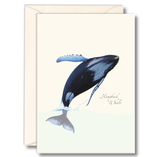 Image of Earth Sky + Water - Breaching Humpback Notecard Set - 8 Blank Cards with Envelopes