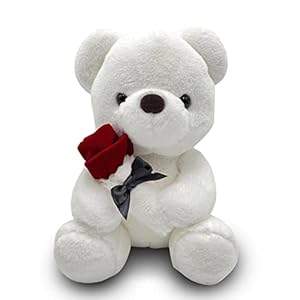 Fouvin Teddybeer, pluche beer, teddy met roos, 23 cm teddyberen, roze, knuffeldier, speelgoed, decoratief kussen, knuffeldier, cadeau voor kinderen, meisjes, verjaardag, Valentijnsdag