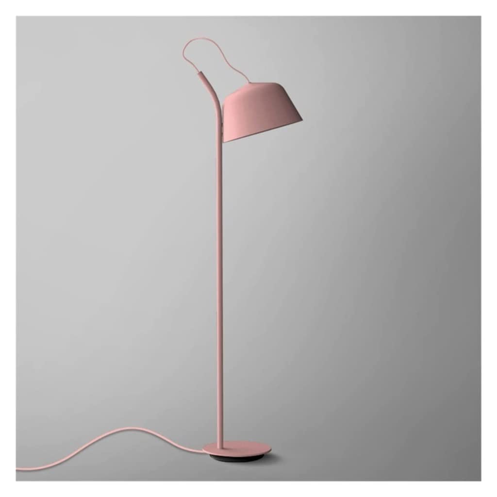 AZHKJKZH Floor Standing Lamp Floor Light for Living Room Nordic Study Bedroom Bedside Lamp Sofa Creative Vertical Stand Living Room(D)