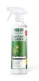 Easylife Instant Green – Lawn Repair Spray with Grass Feed, Covers Brown or Patchy Grass for a Healthy Green Lawn, 500ml