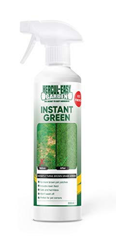 Instant Green | Green | 500ml