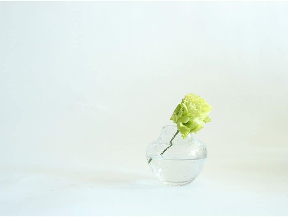 FOYER 2c00023CL Flower Base Interior Vase, Glass, Clear, H 3.7 inches (9.5 cm), Width 3.9 inches (10 cm)