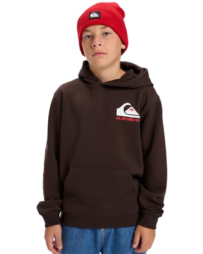 Quiksilver Omni Logo - Sudadera con Capucha - Niños 8-16 - Marrón.