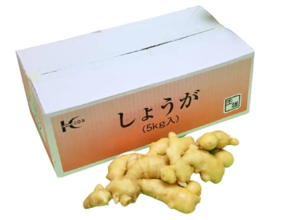 Amazon.co.jp: 食用 生姜 5kg/箱 バラ 中国産 特選 近江生姜