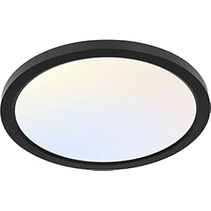 hykolity 12 Inch Selectable CCT LED Round Flat Panel Light, 24W 3000K/4000K/5000K, Edge-Lit Flush Mount Ceiling Light Fixture for Kitchen, Bedroom, Laundry and Closet Room，Black