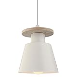 PETITES ECREVISSES Moderna Lámpara Colgante Minimalista Retro Industrial Lámpara de Techo Lámpara de Estilo Nórdico Iluminación Colgante para Cocina Comedor Oficina Salón (Blanco)