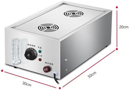 Versatile 2000W/4000W Commercial Electric Steamed Bun Machine, Stainless Steel Steamer with Temperature Control & Water Shortage Alarm, 2 Holes for Efficient Cooking