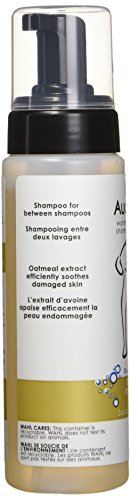 210Ml Waterless Oatmeal Dog Shampoo #TOP1