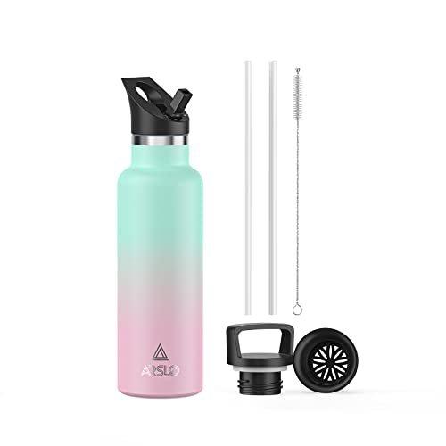 Arslo Stainless Steel Water Bottle With Straw - Insulated Water Bottle For Sports, Gym, School, Commute, Adults/Kids - Keep Cold For Up To 24 Hours - Sweat/Leak-Proof - 2 Lids - Bpa Free #TOP7
