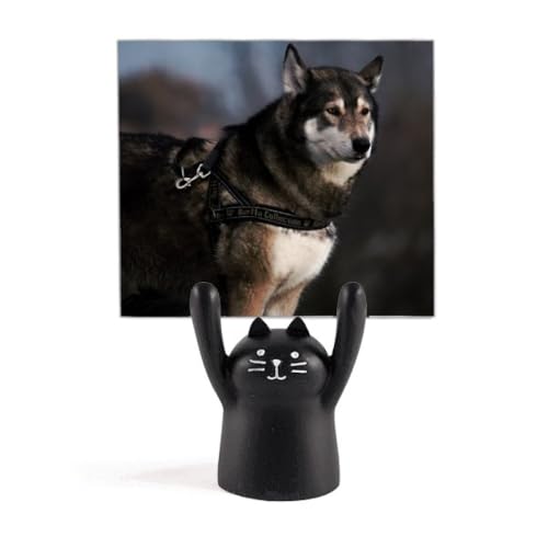Support de mémo chat noir Huanimal Lly pince note bureau et décoration maison