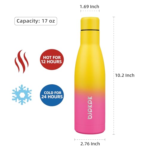 Image of BJPKPK 17oz Skinny Insulated Water Bottle, Stainless Steel Flask